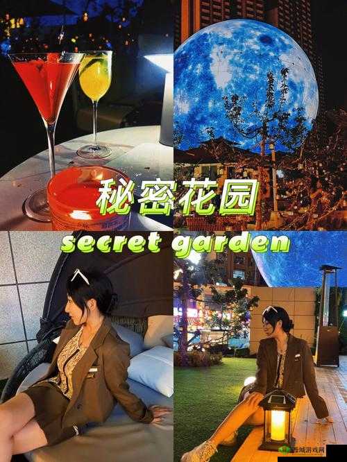 大手往哪秘密花园探去寓意何在:深度解析