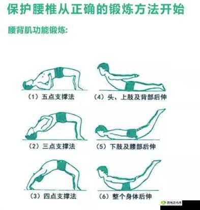 季医生教你趴着练腰背:轻松练出好腰背