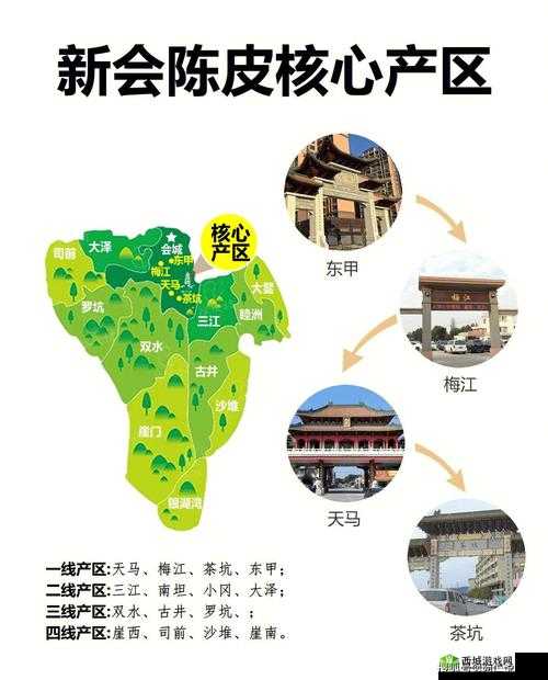 中文字幕一线产区和二线区的区别：产量、质量与价格
