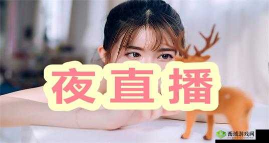 最适合夜里看的直播:精彩内容等你