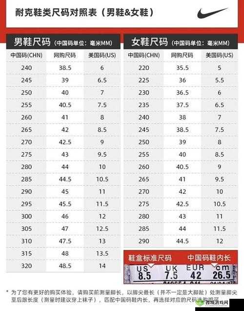 Zoom 与人性 Zoom1 区别:深度剖析之谈