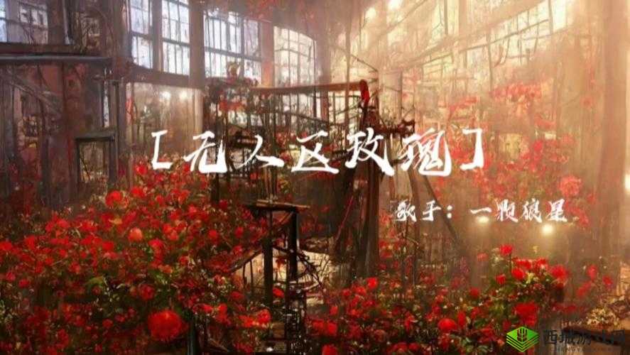 无人区玫瑰 mv:一颗狼星相似:探讨孤独与美丽的故事