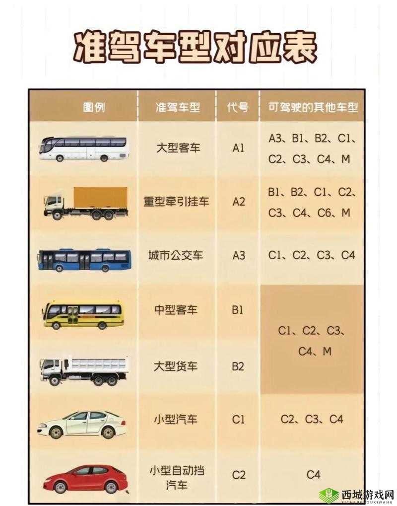 国产 A1a2a317c 的独特魅力