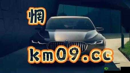 8X8X.IO 最新地域网名揭秘:背后的秘密