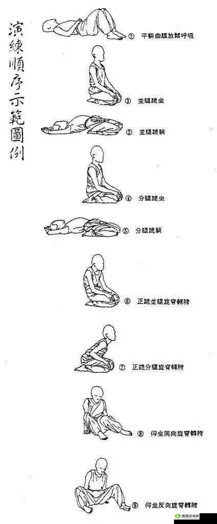 如何坐着摇:方法技巧全解析