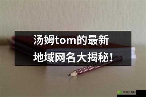 tom 地域网名入口 github:官网