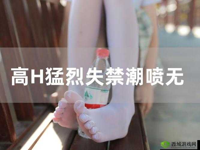 h 视频,发现更多精彩