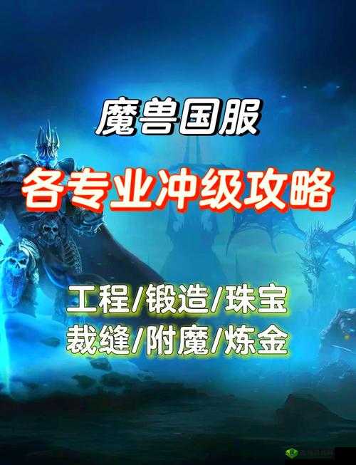 性能之巅第 2 版和第 1 版差异:深度剖析对比
