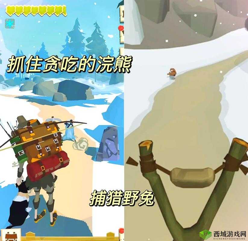 边境之旅:红绿体力差异解析