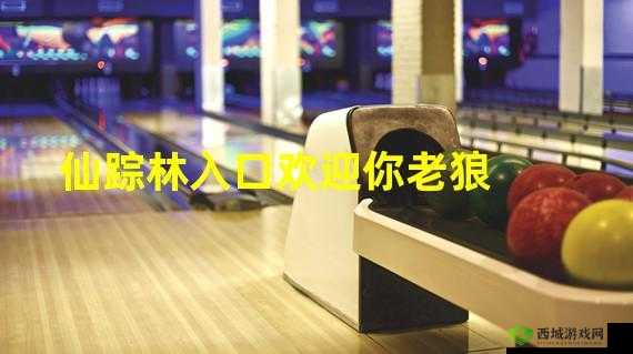 xzl 仙踪林视频入口视频欢迎您,畅享精彩内容