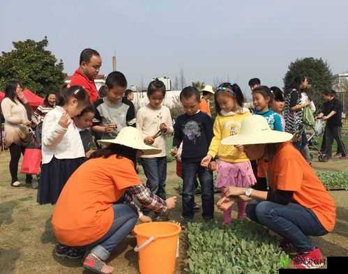 小森生活,解锁农林升级秘籍,打造你的田园梦想
