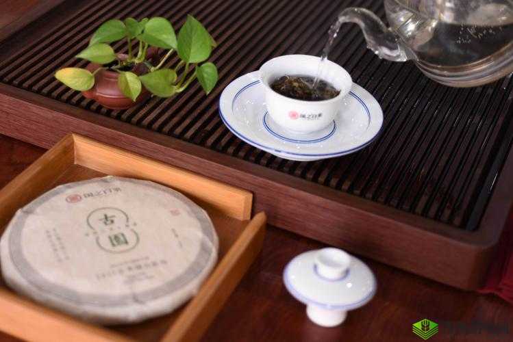 国精产品一品二品国精品:展现独特魅力与卓越品质的精品系列