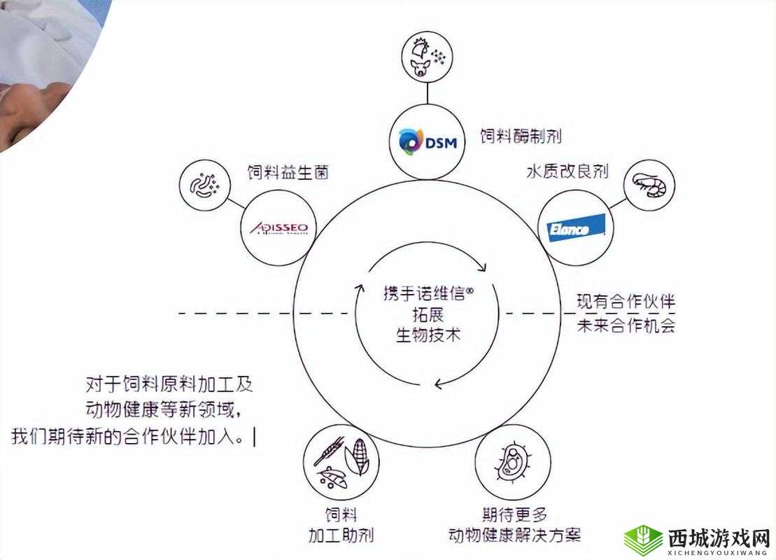 人畜禽Corporation:探索可持续发展的创新合作模式