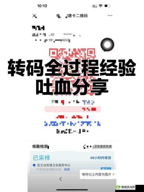 砖矿转码在线:提供高效稳定的转码服务