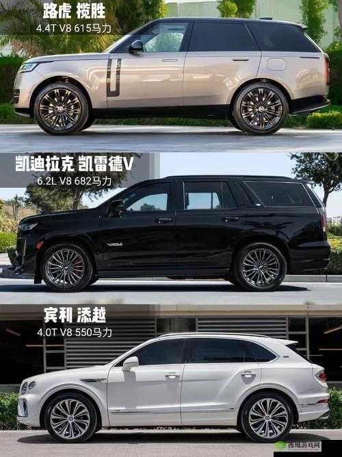 成熟的欧美精品suv:畅享极致驾乘体验的豪华座驾