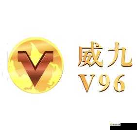 威久国际 2024 :从 78m.ppt 开启新征程