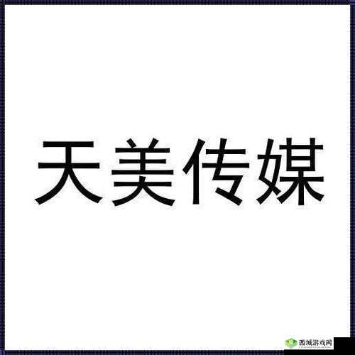天美传媒有限公司宣传片:展现公司独特魅力与卓越成就
