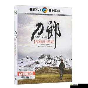 高清 DVD 碟片口:畅享高清影像的绝佳入口