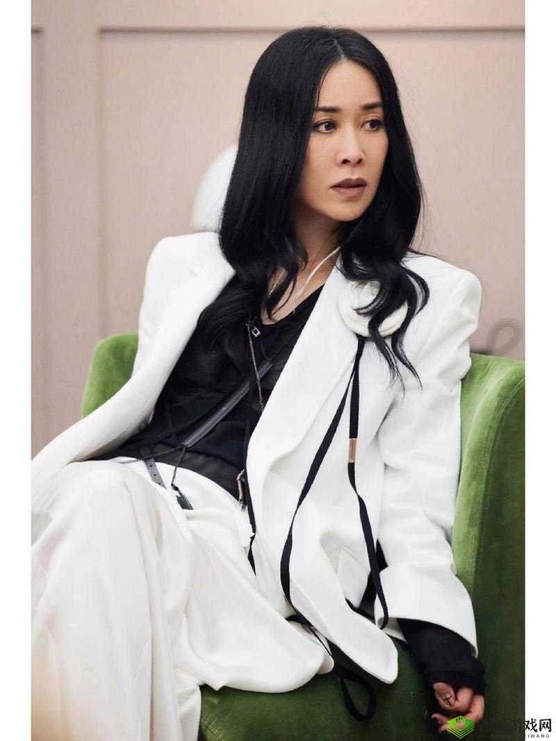 那英 BB 是什么样子的:深入探究其独特魅力与风格