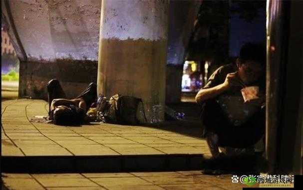 流浪汉把我拉进桥底惊险经历:城市角落里的真实故事与人性思考
