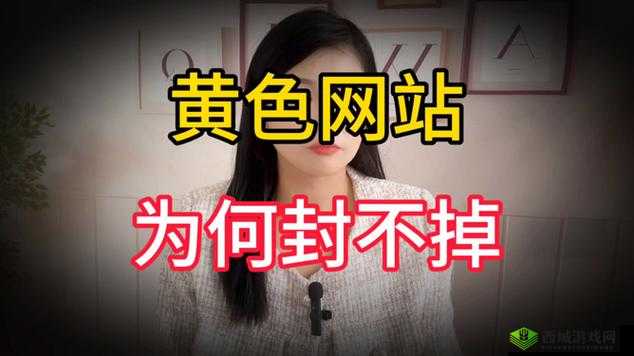 如何看待当下网络上比较认可的色-AV-综合-AV 模式?