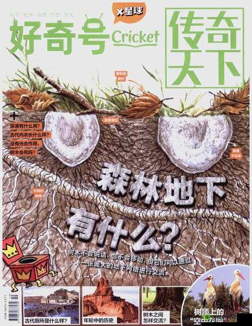 想了解更多?快来探索 www.xczb03.com ,这里有您意想不到的精彩或:好奇这里藏着什么?快点击 www.xczb03.com 一探究竟或:还在寻找惊喜?不妨访问 www.xczb03.com ,答案就在其中